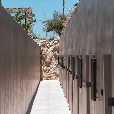 Noir Mykonos 度假村 *
